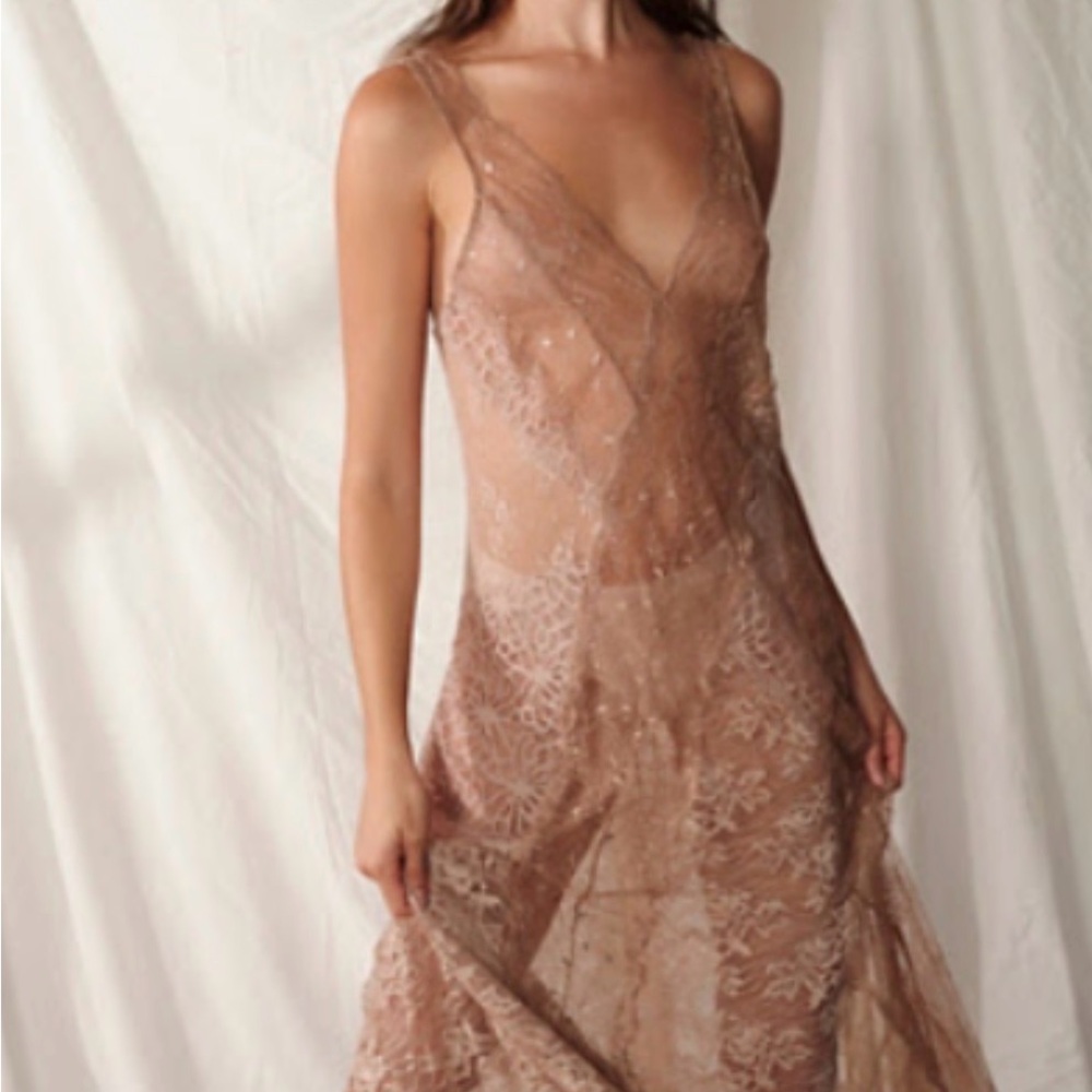 Free People Sheer Lace Slip Dress in Dusty Rose